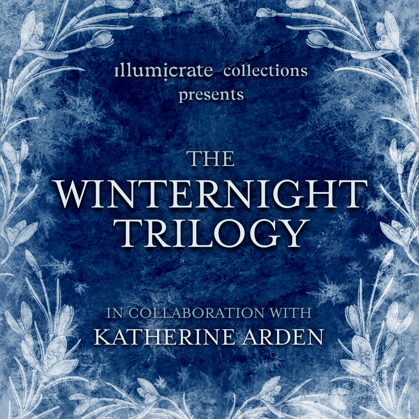 Winternight Trilogy Illumicrate Collection 2024 Box *Items Only*