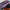 Thumbnail for Enemies to Lovers by Alisha Rai (Afterlight 'Getaway Car' Exclusive) image