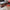 Thumbnail for Staircase in the Woods by Chuck Wendig (Evernight April 2025 Exclusive) image
