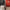 Thumbnail for The Library at Hellebore by Cassandra Khaw (Evernight July 2025 Exclusive) image