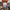 Thumbnail for Tideborn by Eliza Chan (Illumicrate Exclusive) image