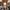Thumbnail for Tideborn by Eliza Chan (Illumicrate Exclusive) image