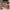 Thumbnail for Wilmot Sisters set by Chloe Liese (Afterlight Exclusive) image