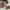 Thumbnail for Wilmot Sisters set by Chloe Liese (Afterlight Exclusive) image