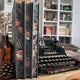 The Modern Faerie Tales by Holly Black (Illumicrate Exclusive) printed edges