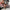 Thumbnail for A set of illustrated art cards or prints arranged on a wooden block over a plaid blanket and white fabric. The artwork uses a limited palette of black, gray, red, and beige, depicting stylized portraits and scenes. image