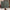 Thumbnail for Cleopatra by Saara El-Arifi (Illumicrate Exclusive) endpaper image