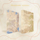 Elements of Cadence set by Rebecca Ross (Illumicrate Exclusive) hardcase mock up