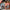 Thumbnail for London Calling set by Alexis Hall (Afterlight Exclusive) cover image