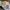 Thumbnail for Well Met set by Jen DeLuca (Afterlight Exclusive) image