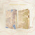 Elements of Cadence set by Rebecca Ross (Illumicrate Exclusive) hardcase image