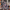 Thumbnail for A Wizard's Guide to Defensive Baking Fabric Apron image