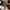 Thumbnail for The Poppy War Metal Trident Replica image