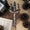 The Poppy War Metal Trident Replica image