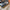Thumbnail for Portrait of a Thief by Grace D. Li Book Only (Illumicrate 'Nothing But Thieves' Exclusive) book edges image