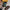 Thumbnail for Thistlemarsh by Moorea Corrigan full box (Illumicrate 'Faerie Bargains' Exclusive) image