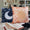 Celestial Fabric Cushion Cover Set of Two image