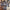 Thumbnail for The Locked Tomb Character Bookmark Set image