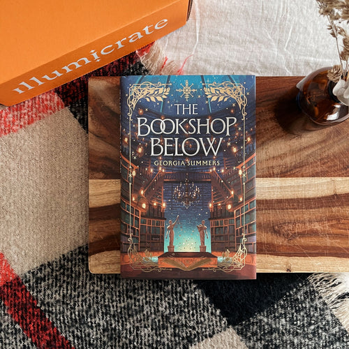 The Bookshop Below cover image