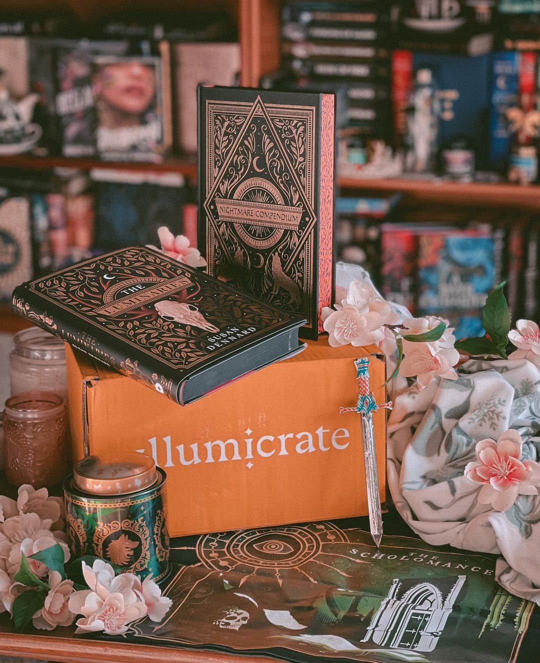 Deals Illumicrate November The Luminaries Full Box