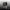 Thumbnail for The River and the Star by Gabriela Romero Lacruz (Illumicrate Exclusive) image