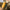 Thumbnail for Combo sub IC + AL image